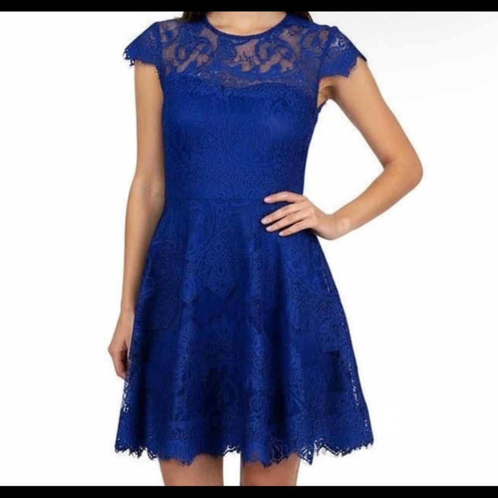 BB Dakota by Steve Madden‎ Royal Blue Lace Mini Dress Size 8